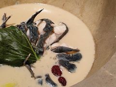 -滇小鱼·云南野生菌火锅(上杭路店)