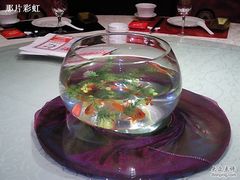 -自助火锅筷乐食代自助餐厅(金辰店)
