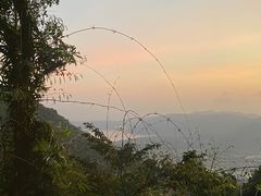 -三亚亚龙湾人间天堂鸟巢度假村