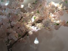 -樱花里音乐餐吧·牛扒椰子鸡(东圃店)