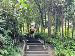 -青城山
