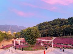 -牛岗山公园