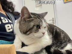 -安安宠医·健平宠物医院犬猫内科·骨科诊疗中心