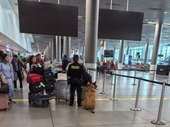 -波哥大埃尔多拉国际机场