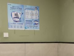 -半岛宠物医院24小时(白果林店)