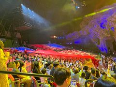 -广州长隆国际大马戏