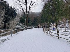 -西安祥峪森林公园