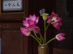 -寂照庵