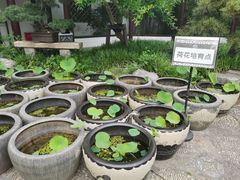 -上海醉白池公园