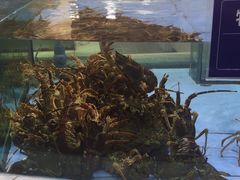 -旺顺阁海鲜广场(亚运村店)