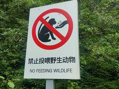 -西岭雪山大飞水景区