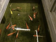 -鲤院·新中式美学·庭院餐厅(夫子庙店)