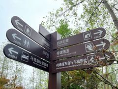 -合肥滨湖国家森林公园
