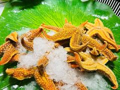 -齐河孔雀王温泉酒店·金孔雀自助百汇