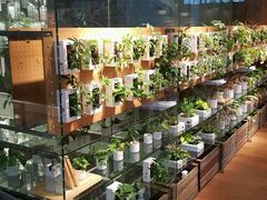 -无印良品餐堂 MUJI Diner(成都太古里店)