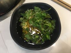 油碟-屋头串串(新街里店)