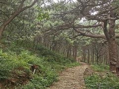 -妙峰山风景名胜区