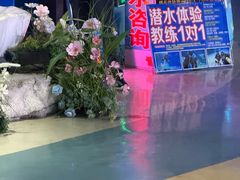 -烟台海昌鲸鲨海洋公园