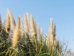 -苏州吴中太湖旅游区