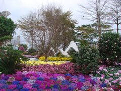 景点-二沙岛艺术公园