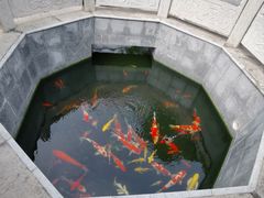 -西安市广仁寺