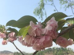 -星巴克(成都科学城店)