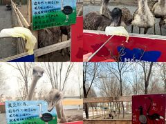 -水上乐园·欢乐世界