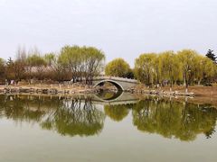 -大兴滨河森林公园