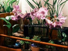 -街角 T·COFFEE 融合料理·BISTRO(车公庙店)