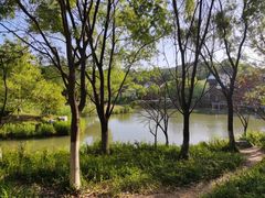 -西溪国家湿地公园