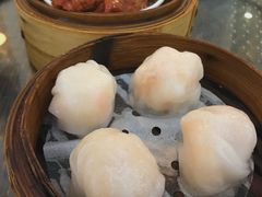 添运来虾饺皇-添运来(茶园奥园广场店)