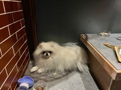 -左记港食(融科天城店)