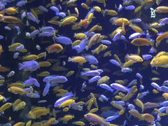 -成都浩海立方海洋公园