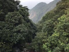 -广州市石门国家森林公园
