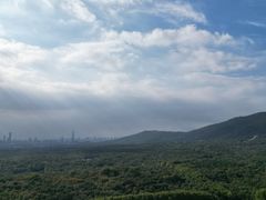 -灵谷景区