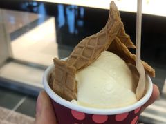 -哈根达斯(天河城店)