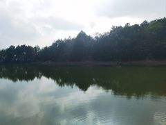 -南京市无想山景区