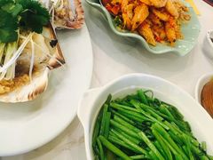 大扇贝-金煌大酒楼