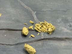 -秦皇岛野生动物园