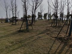 -春花秋色城市公园