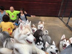 -TrueLove @ Neverland (Husky Cafe)