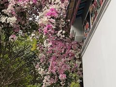 -深圳国际园林花卉博览园