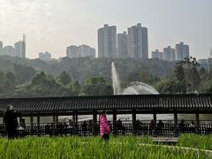 -龙头寺公园