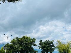 门口这条路直走就是洱海森林公园-阿鹏故事野生菌火锅(古城店)