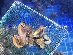 -渡海小渔村.老辈日照菜