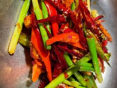 -毛辣果·酸(OHA复兴西路店)