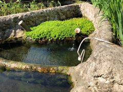 -成都市活水公园