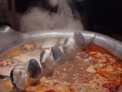台式麻辣花胶鸡鸳鸯锅-湊湊火锅·茶憩(世博大道店)