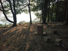 -黄埔油麻山森林公园