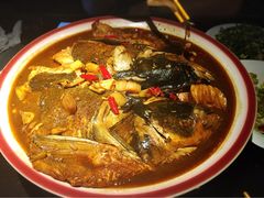 -旺顺阁鱼头泡饼(常营店)